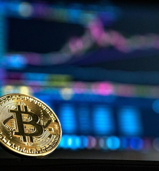 Bitcoin-mynt