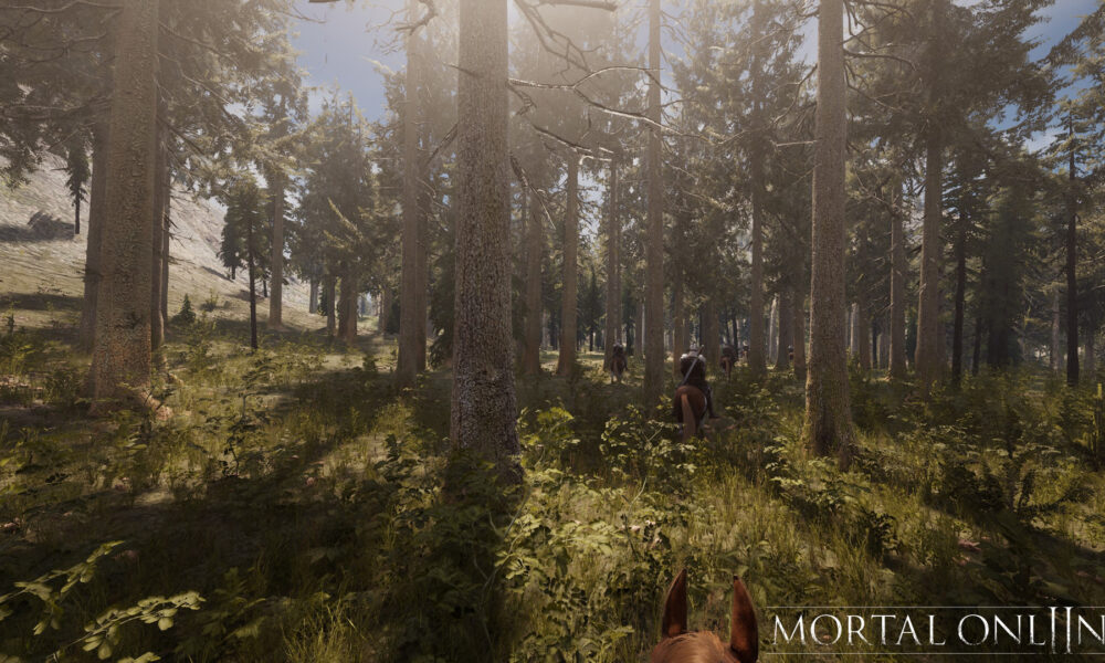 Skogsområde i Mortal Online 2