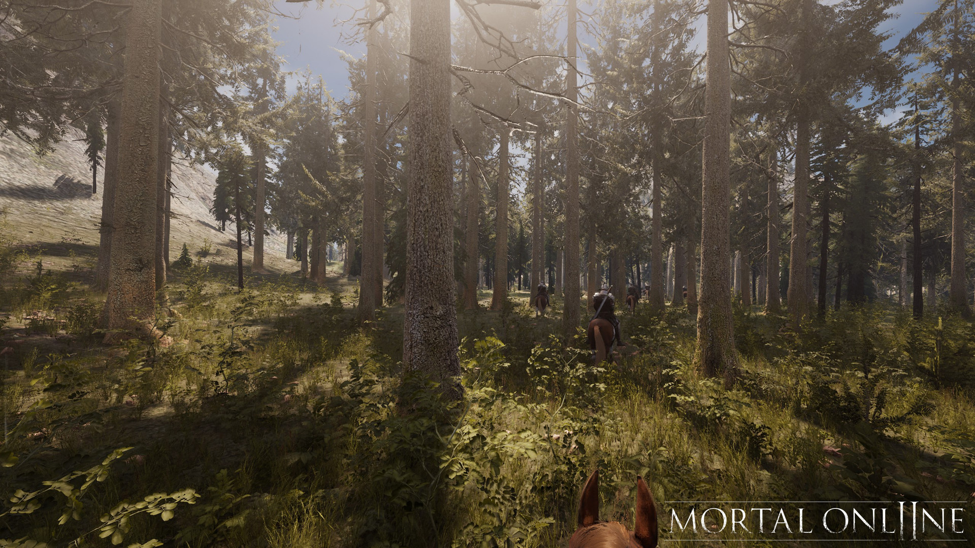 Skogsområde i Mortal Online 2