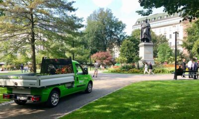Green Landscaping i park