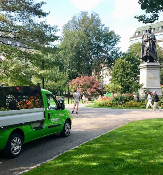 Green Landscaping i park