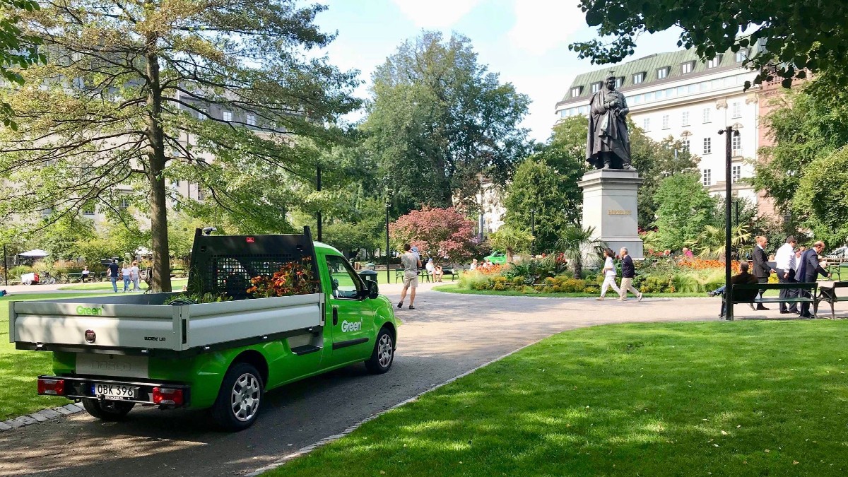 Green Landscaping i park