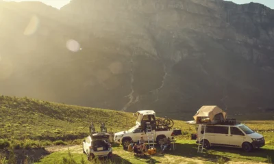 Dometic ute i öppna landskap