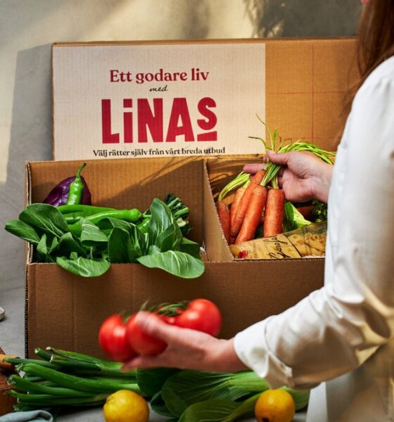 Linas Matkasse